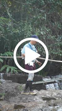 BIB:  <button type="button" onclick="openModal(27490492)" class="btn btn-primary btn-sm float-right" data-toggle="modal" data-target=".modal-high-quality">
                <i class="fa fa-download"></i> Download
                </button>